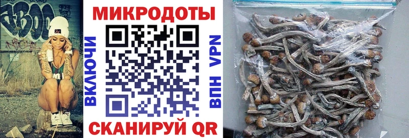 Галлюциногенные грибы GOLDEN TEACHER  Купить  Макушино 